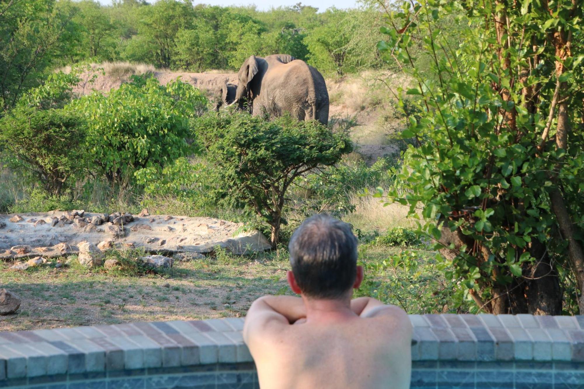 Bushvilla Umoja Kruger Phalaborwa Eksteriør billede