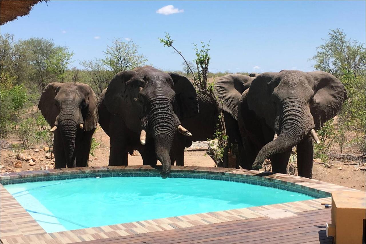 Bushvilla Umoja Kruger Phalaborwa Eksteriør billede